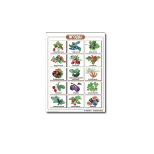 ОКРУЖАЮЩИЙ МИР_2